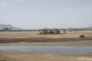 Panje Dongri wetlands, Uran, dry