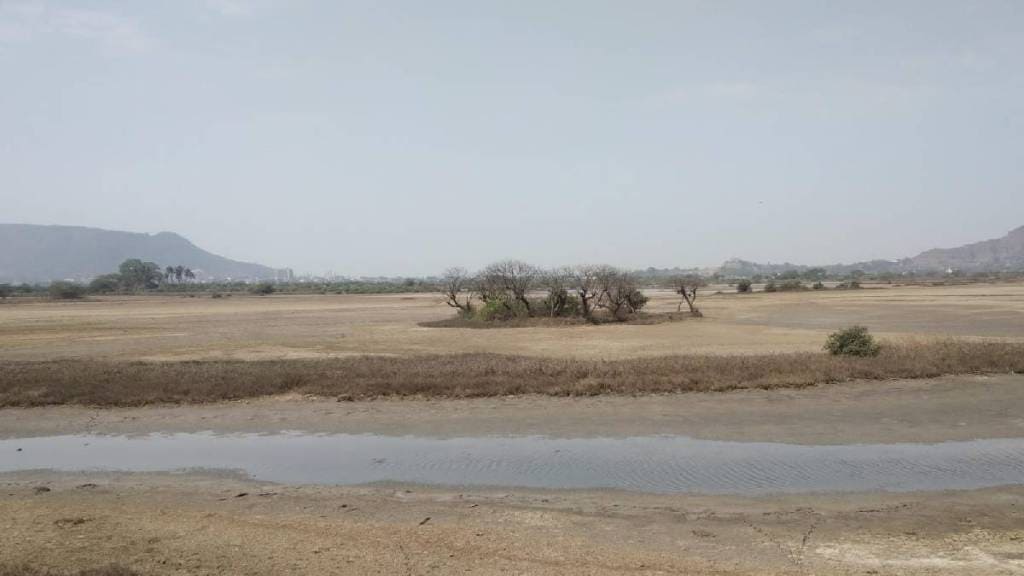 Panje Dongri wetlands, Uran, dry