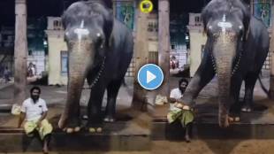 Pure love Between elephant and caretaker