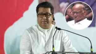 What Raj Thackeray Said About Sharad Pawar