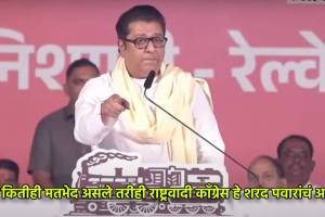 Raj Thackeray on shivsena and ncp split