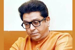 Raj Thackeray reaction on Assembly Election