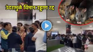 Rat in flight Airport fight video trending video