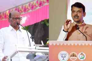 What Sharad Pawar Said About Devendra Fadnavis?