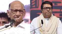 Sharad Pawar : “राज ठाकरे काहीही ठोकून देतात, मूर्खासारखं..” शरद पवारांची खोचक शब्दांत टीका