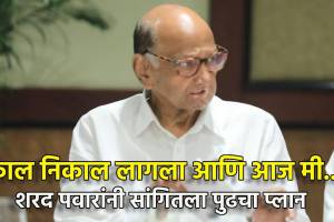 Sharad Pawar on next step after loss in maharashtra vidhansabha election 2024