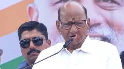 Sharad Pawar : “शरद पवारांनी कायमचं घरी बसावं, त्यांनी अनेकांचं वाटोळं केलंय”, भाजपाच्या ज्येष्ठ नेत्याची बोचरी टीका