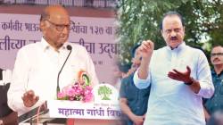 Ajit Pawar : “शरद पवार राजकारणातून बाजूला झाल्यानंतर हा पठ्ठ्या…”, अजित पवारांचं सूचक वक्तव्य