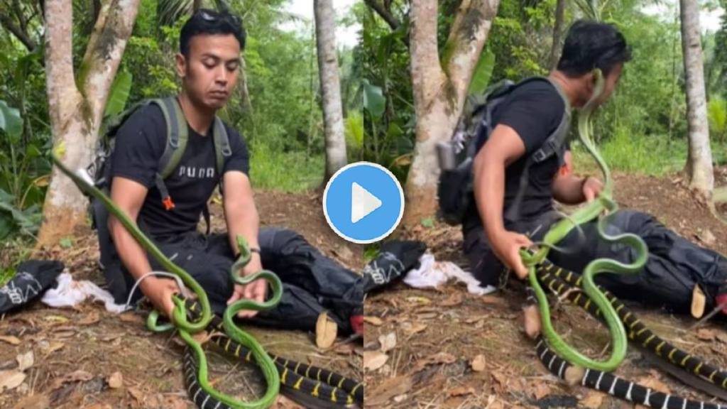 Snake Bites Man Viral Video