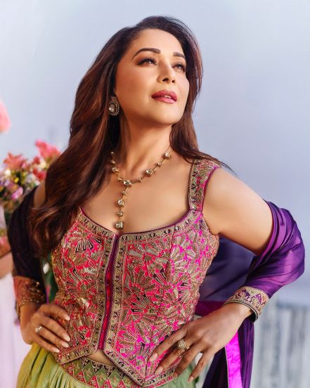 Bollywood star Madhuri Dixit shares stunning photos in saree on social media