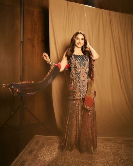 Bollywood star Madhuri Dixit shares stunning photos in saree on social media