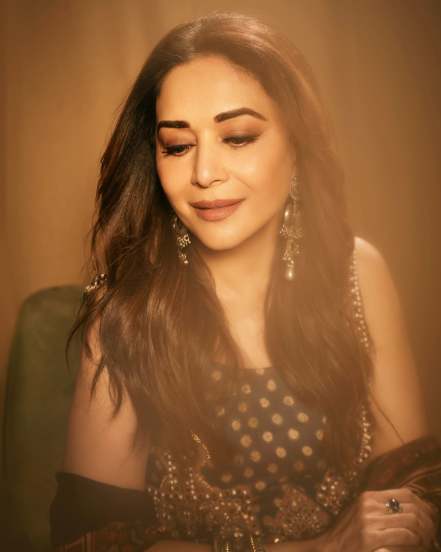 Bollywood star Madhuri Dixit shares stunning photos in saree on social media