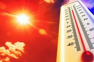 12 percent of worlds land area warmed in October