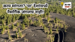 Countries Without Natural Forest : काय सांगता? ‘या’ देशांमध्ये नैसर्गिक जंगलच नाही! जाणून घ्या, कोणते आहेत हे देश?