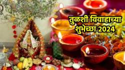 Tulsi Vivah 2024 Wishes : तुळशी विवाहनिमित्त मित्र-परिवारास द्या हटके शुभेच्छा; पाहा एकापेक्षा एक सुंदर मराठी मेसेज