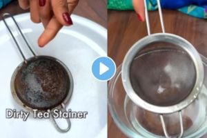 how to clean tea strainer at home