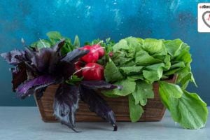 green vegetables during winter