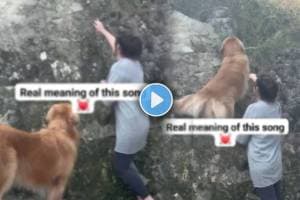 Viral Video Shows Pet Dog Help Her Owner