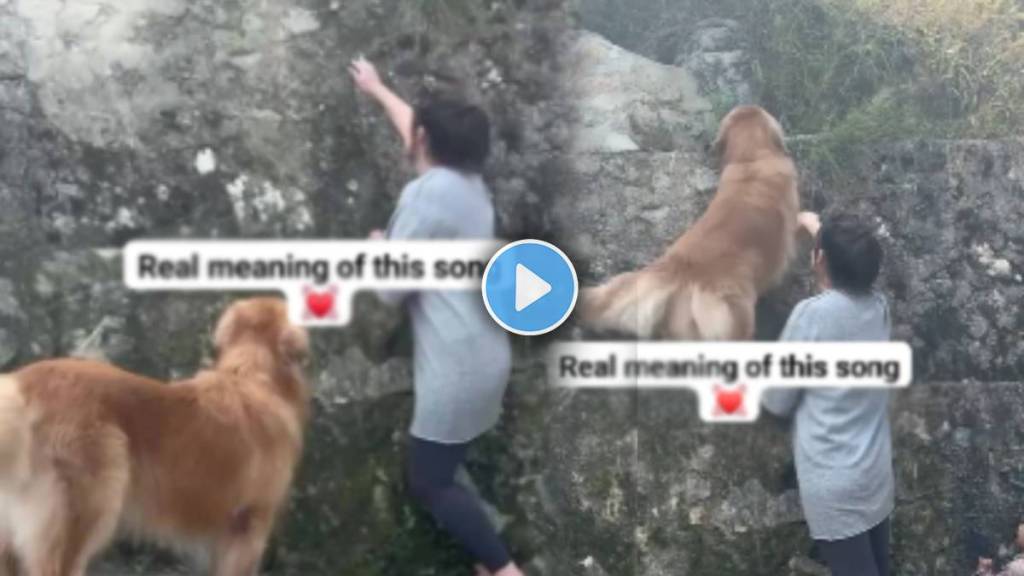 Viral Video Shows Pet Dog Help Her Owner