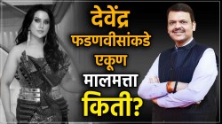 Devendra Fadnavis Income : देवेंद्र फडणवीसांची एकूण संपत्ती किती? पत्नी अमृताकडे आहे जास्त मालमत्ता