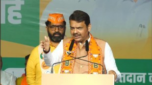 Devendra Fadnavis, Mahesh Landge,