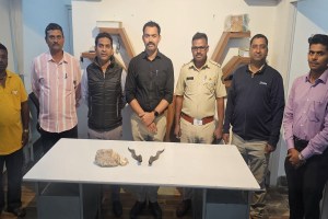 wildlife organ smugglers, wildlife organ smugglers police custody, wildlife,