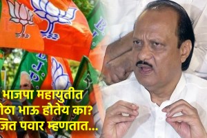 ajit pawar bjp seat sharing assembly election