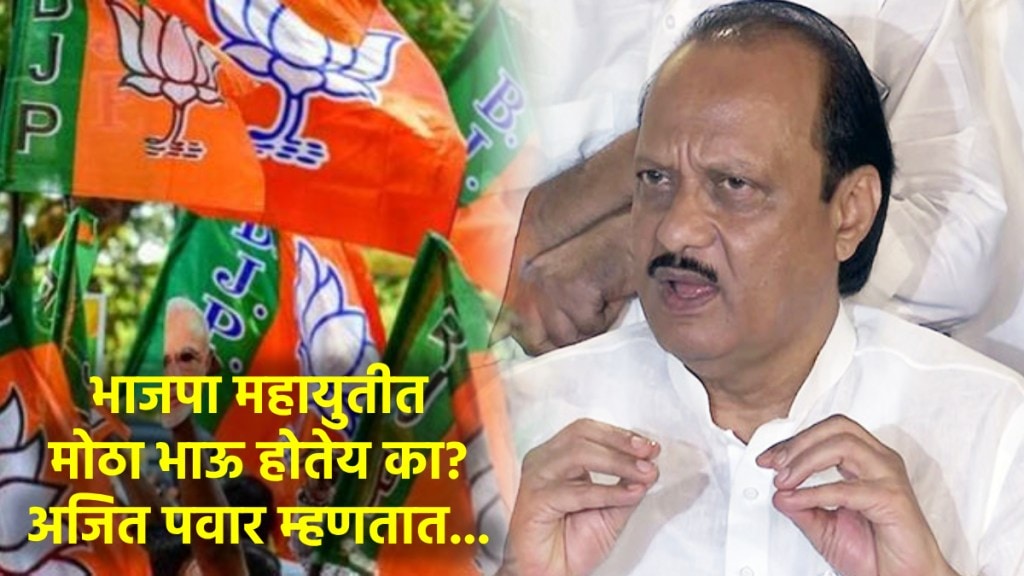 ajit pawar bjp seat sharing assembly election