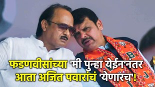 ajit pawar devendra fadnavis (2)