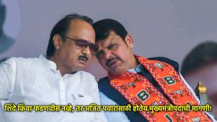 ajit pawar devendra fadnavis vidhan sabha election