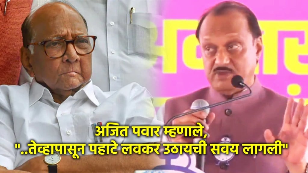 ajit pawar sharad pawar maharashtra vidhan sabha election