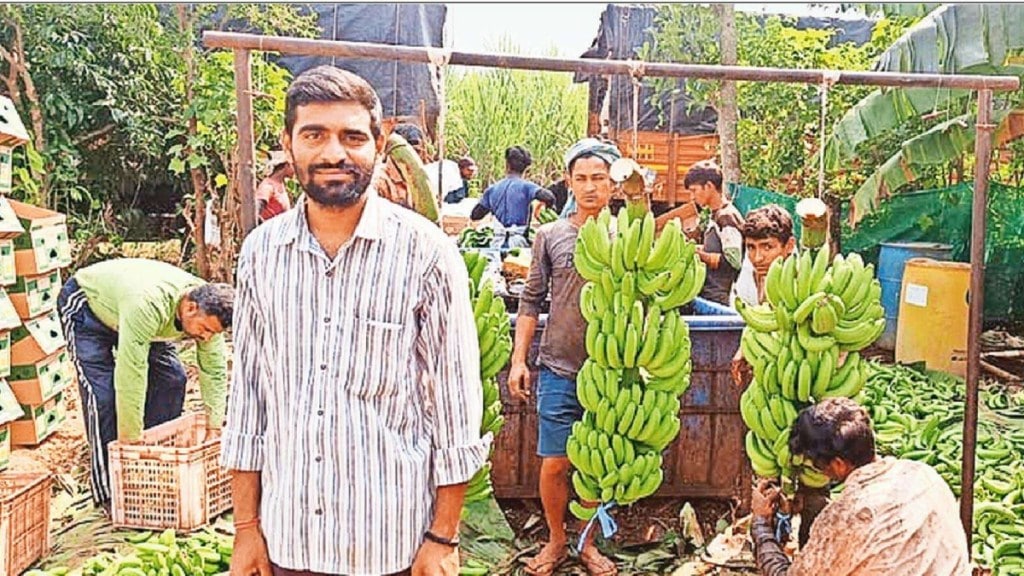 banana cultivation farmer kiran gadkari tried different experiment for banana farming