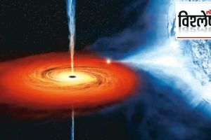 black hole triple system