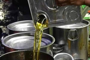 edible oil import india