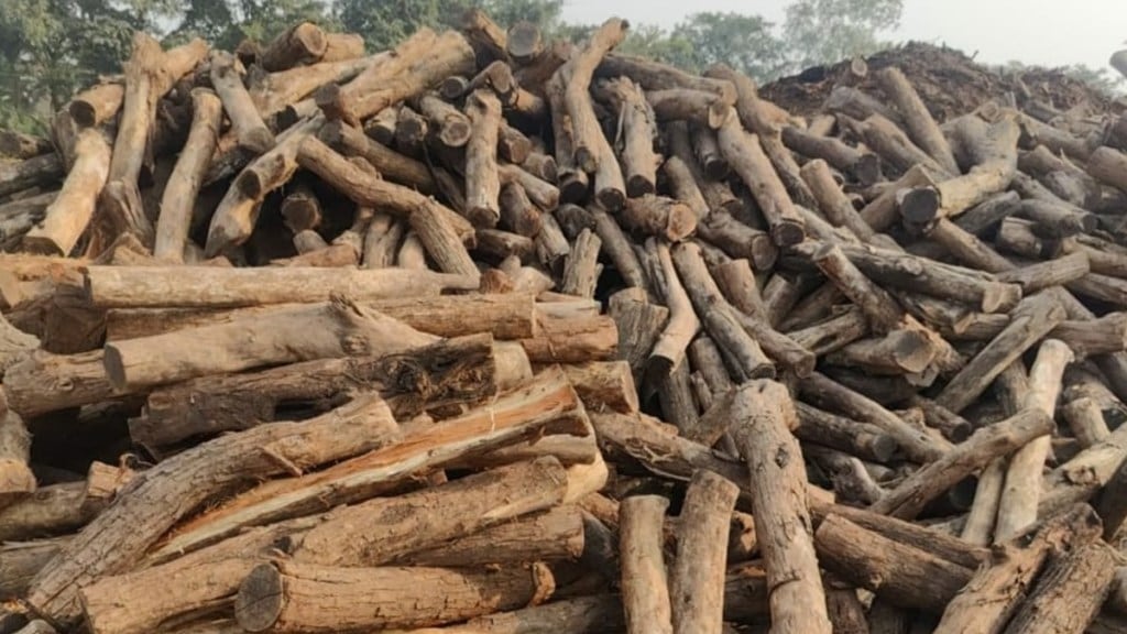 nashik khair wood seized