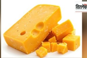 Thieves stole thousands of tons of cheddar cheese in London What is Cheddar Cheese