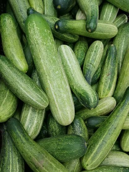 10 Benefits of cucumber to maintain the healthy lifestyle reasons to include cucumber in routine diet