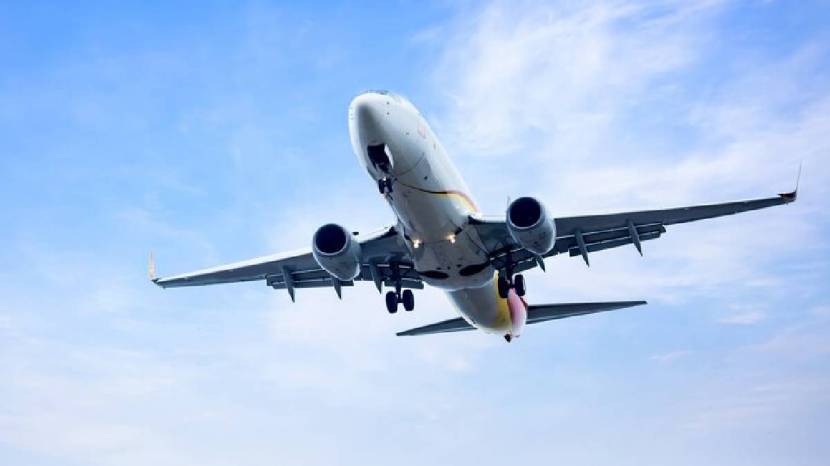 dried coconuts damage an aircraft or injure passengers