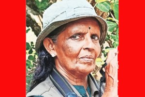 article about sudhamma life in forest