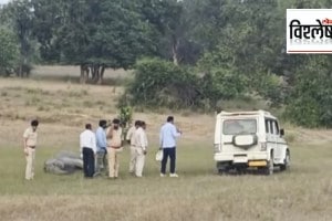 Loksatta explained What is the exact reason behind the death of ten elephants in Bandhavgarh National Park in Madhya Pradesh