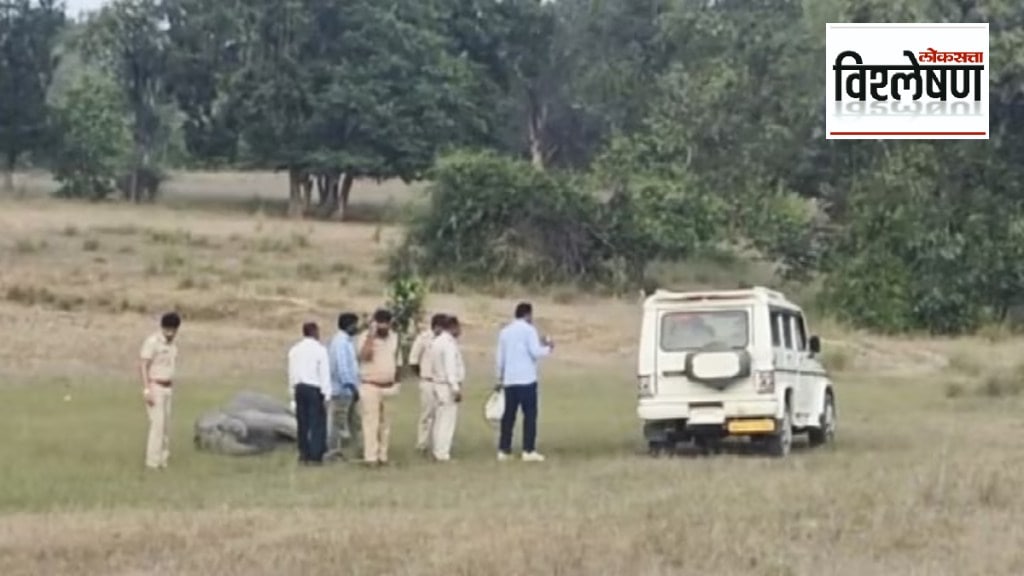 Loksatta explained What is the exact reason behind the death of ten elephants in Bandhavgarh National Park in Madhya Pradesh