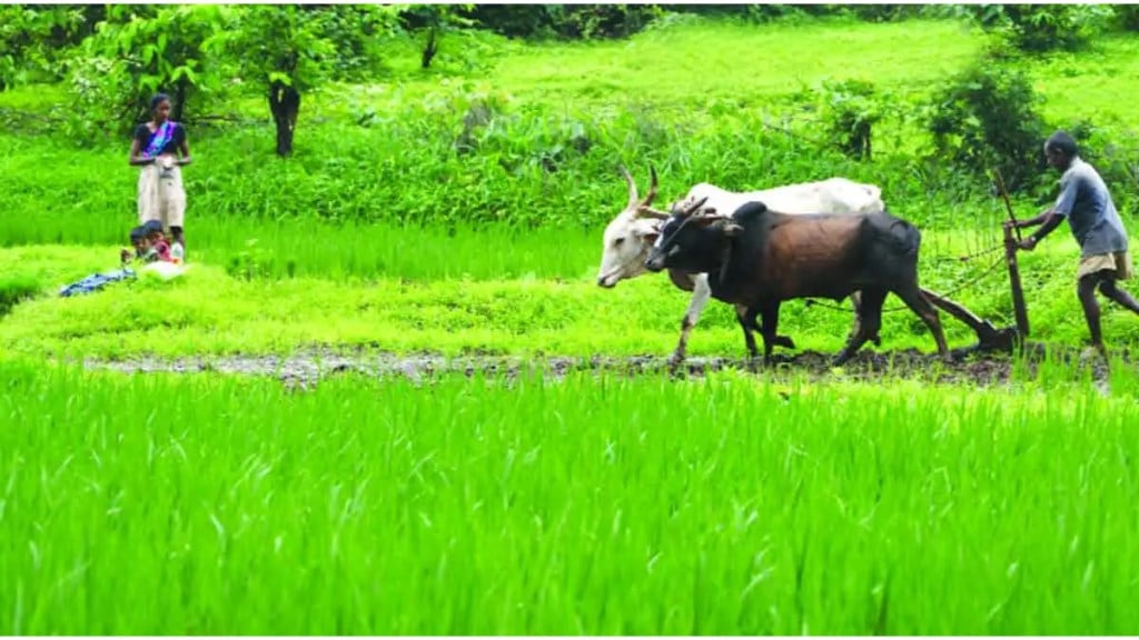 The central government has announced the guaranteed price of six rabi crops