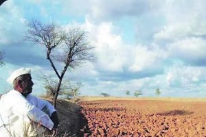 Marathwada and Amravati farmers commit suicide due to falling prices of agricultural products drought hailstorm