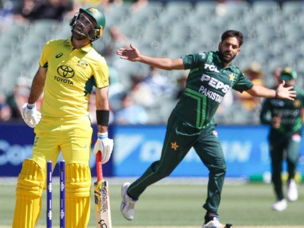 harris rauf celebrating wicket of glen maxwell