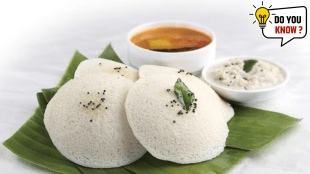 Idli in English what is idli called in english idly English name