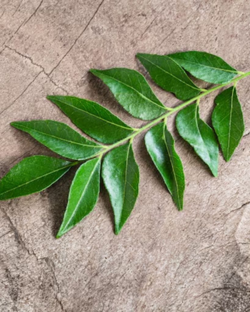 Curry Leaves