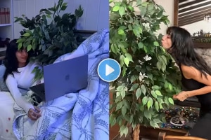 Social media influencer and YouTuber is dating a tree and films herself kissing, hugging, and going out with the tree video viral