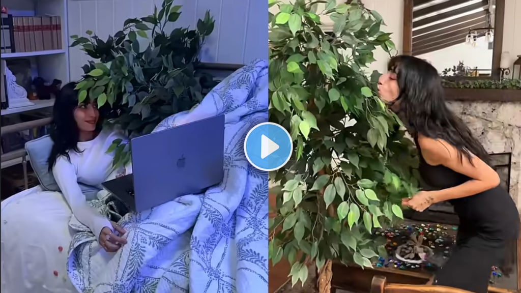 Social media influencer and YouTuber is dating a tree and films herself kissing, hugging, and going out with the tree video viral