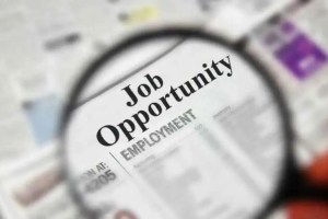 Job Opportunity Maharashtra State Cooperative Bank Recruitment career news