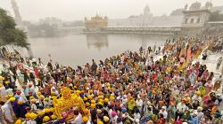 Photos : गुरू नानक जयंतीनिमित्त अमृतसरमधील सुवर्ण मंदिरात उसळली भाविकांची गर्दी, Golden Temple चे आकर्षक फोटो व्हायरल